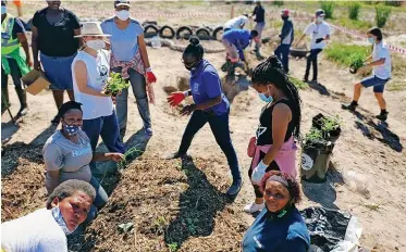  ??  ?? A VEGETABLE garden was launched in Fisantekra­al to beautify the area while providing food security.