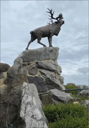  ?? Photo: Jessica Tucker ?? Le caribou en bronze du mémorial à Beaumont-Hamel, que Jessica Tucker a visité lors de son dernier séjour en France.