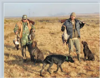  ??  ?? TOP: Jacques with Oscar and Fritz with Koda and Pepper after the dogs have retrieved Egyptian geese from very cold water.