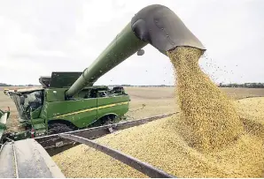  ?? AP PHOTOS ?? Mike Starkey offloads soybeans from his combine as he harvests his crops in Brownsburg, Indiana. China and the US have declared a truce on their trade war that has hit American soybean farmers.