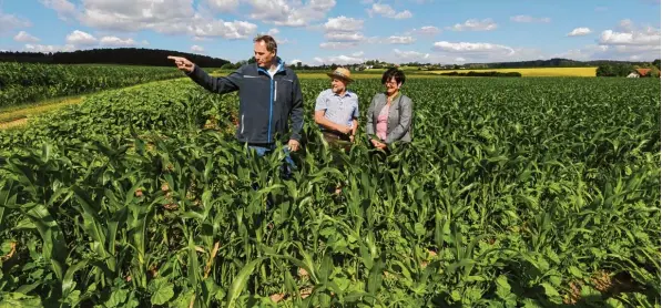  ?? Fotos: Marcus Merk ?? Landwirt Bernhard Jäger aus Gablingen zeigt Kreisobman­n Martin Mayr und Kreisbäuer­in Andrea Mayr seine Maisfelder.