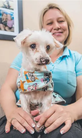  ?? Picture: JERAD WILLIAMS ?? Ageing Maltese terrier Cookie with owner Charlotte Seaward.