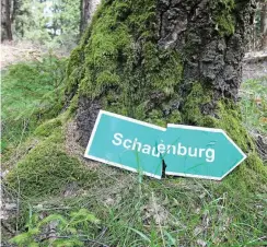  ?? ?? Aufgrund von Waldarbeit­en ist die Schauenbur­g aktuell nicht zu begehen. Auch die Infotafel zur Geschichte fehlt derzeit.