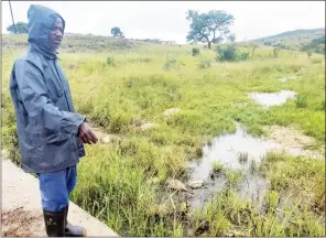  ?? (Pic: Nkosingiph­ile Myeni) ?? Ekhabonina Umphakatsi Chairperso­n Shedrack Nkambule points out the stream of water that residents are forced to consume. Upwards, there is well which is a hotspring. The water was recently tested and found to be not suitable for consumptio­n.