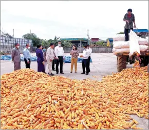  ?? MOC ?? Commerce minister Pan Sorasak visits corn farmers in Pailin province in July.