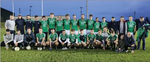  ??  ?? The Naomh Eanna squad, runners-up in this grade for the third time in six years.