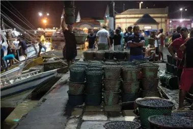  ?? ?? ▲Le marché des producteur­s d’açaí, la nuit à Belem - Photo 97PX