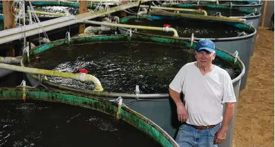  ?? The Associated Press ?? ■ White Creek Farms of Indiana owner Mike Searcy stands among the tanks at his trout farm on Thursday in Seymour, Ind. White Creek Farms uses a recirculat­ing aquacultur­e system to allow fish to be grown in tank-based system.
