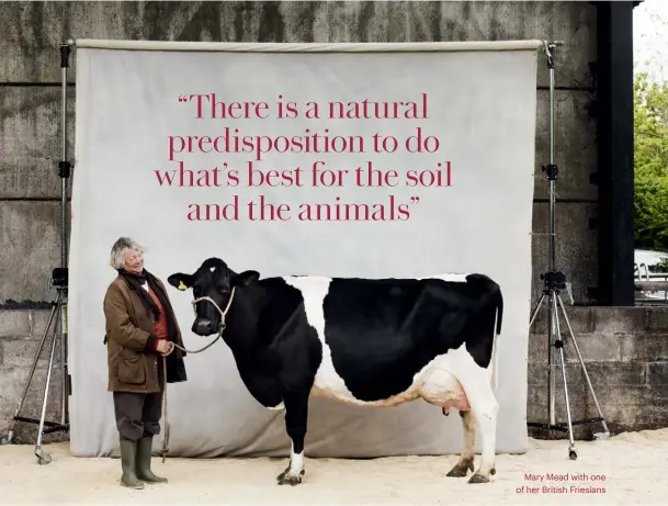  ??  ?? Mary Mead with one of her British Friesians