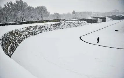  ?? Picture / AP ?? Only the brave were out in Pamplona’s Vuelta del Castillo Park in northern Spain yesterday.