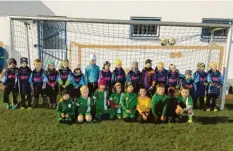  ?? Foto: Christian Hartl ?? Beim Freundscha­ftsspiel der Bambiniman­nschaften des TSV Schiltberg und des TSV Weilachtal siegten die Gäste mit 4:0.