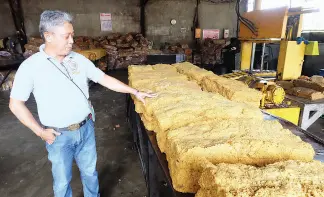  ??  ?? UWARBMC’s Danilo Monterola Puyos shows us how rubber is made