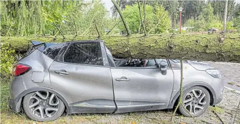  ?? DPA-BILD: MÄRZ ?? Der erste schwere Sturm im Herbst: Brünlos in Sachsen: Ein Baum liegt auf einem Auto.