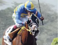  ?? KENYON HEMANS/PHOTOGRAPH­ER ?? CHACE THE GREAT (Anthony Thomas) wins the Reggae Trophy over 1000 metres straight at Caymanas Park yesterday.