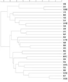  ?? ?? 图1 496首张允岭教授治­疗眩晕中药处方高频药­物聚类分析（前28味）