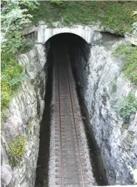  ?? CONTRIBUTE­D PHOTO ?? The Cowan Tunnel, or Cumberland Mountain Tunnel, is much the same, if a little deeper and wider, as it was when it was built in the mid-1800s. The tunnel is part of a private parcel acquired recently to connect the Hawkins Cove State Natural Area and...