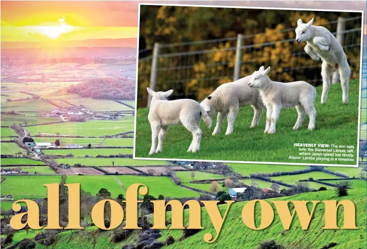  ??  ?? HEAVENLY VIEW: The sun sets over the Somerset Levels, left, where Janet raised her family. Above: Lambs playing in a meadow