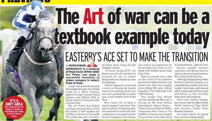  ??  ?? IT’S A GREY AREA The progressiv­e Art Power is ready to dominate his rivals in the finale at
Naas