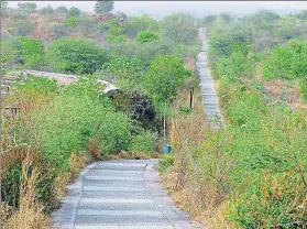  ??  ?? The Aravalli Biodiversi­ty Park at MG road in Gurugram.