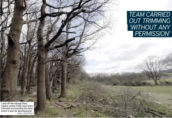  ??  ?? Land off Hermitage Park, Lepton where trees have been trimmed surroundin­g the land which is due for developmen­t
ANDY CATCHPOOL