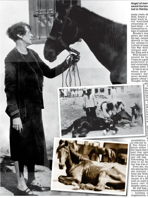  ??  ?? Angel of mercy: Dorothy Brooke saved horses broken by a life of toil in Thirties Cairo (inset)