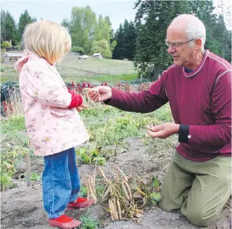  ?? COURTESY HELEN CHESNUT ?? Dan Jason of Salt Spring Seeds, co-author of The Power of Pulses, has spent more than 30 years promoting organic gardening and the growing of protein-rich pulses and grains.