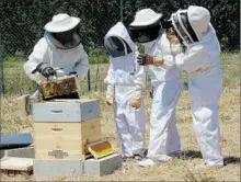  ??  ?? Des élèves ont revêtu une tenue d’apiculteur pour s’approcher des ruches.