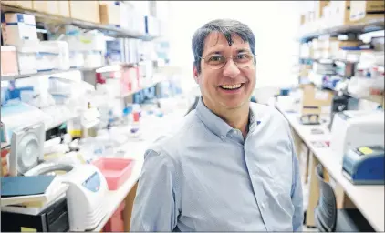  ?? AP PHOTO ?? James Riley, an HIV and gene therapy expert at the University of Pennsylvan­ia, is leading a study of gene therapy to help treat HIV.