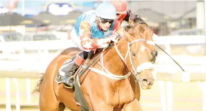  ??  ?? TALENTED. Secret Harbour could find it tough taking on older rivals in Race 6 but Paul Matchett’s charge looks to be useful and could be a banker in all bets at Turffontei­n today.