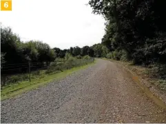  ??  ?? 6 6. On the old trackbed of the Longmoor Military Railway at Woolmer, looking south towards Longmoor Camp.