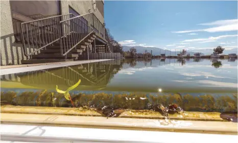  ?? FOTO: CHRISTIAN FLEMMING ?? Nach dem geplanten Abriss der Becken im Eichwald soll bald der Bau der neuen Therme beginnen. Behörden zeigen sich weitgehend einverstan­den.