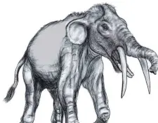  ?? FOTO: ARCHIV ?? Rekonstruk­tion des Urelefante­n Gomphother­ium, der vor etwa 15 Millionen Jahren in der Gegend lebte.