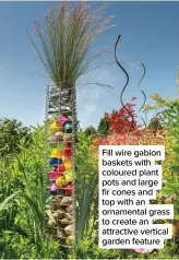  ??  ?? Fill wire gabion baskets with coloured plant pots and large fir cones and top with an ornamental grass to create an attractive vertical garden feature
