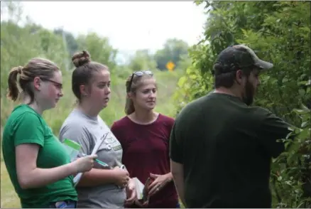  ?? CHARLES PRITCHARD - ONEIDA DAILY DISPATCH ?? Jenny Meislin, left, Emily Farnier, Amanda Gordon and Talon Abrams exam and identify plants at the Great Swamp Conservanc­y on July 2