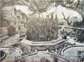  ??  ?? A reed pond. This photo appeared in Country Life