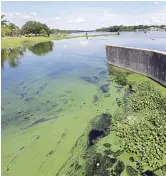  ?? Associated Press ?? ■ An algae bloom appears on the Caloosahat­chee River at the W.P. Franklin Lock and Dam in Alva, Fla. A recent study shows America’s rivers are changing color, mostly because of what people are doing.