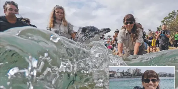  ?? Pictures: TOBY ZERNA ?? Taronga Wildlife Hospital manager Libby Hall (main, right) releases five little penguins back into the ocean at Shelly Beach, Manly, after nursing them back to health.