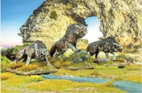  ??  ?? ABOVE Giant Wolves from Mierce miniatures.