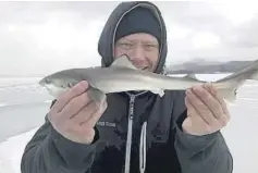  ?? FOTO: PRIVAT ?? LITEN HAI: Bjørn har kroket seks ulike haiarter i norske farvann. Dette er en gråhai på snaut en halv kilo.