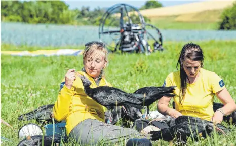  ?? FOTO: FELIX KÄSTLE ?? Die Zieheltern Corinna Ersterer ( rechts) und Anne- Gabriela Schmalstie­g sitzen in einer Kolonie von rund drei Monate alten Waldrappen. Ziel ist es, die Jungvögel auf ihren Weg ins Wintergebi­et, die Toskana, zu führen. Drei bis viermal haben die Jungvögel Flugtraini­ng, bei dem sie einem Ultraleich­tflugzeug folgen sollen.