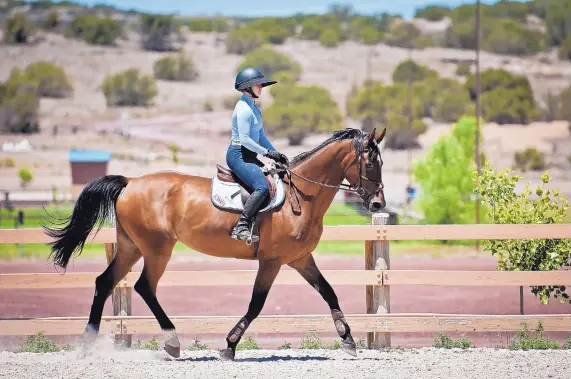  ?? MARLA BROSE/JOURNAL ?? Vivian Keller does some preparatio­n for HIPICO Santa Fe on Tuesday.