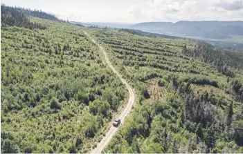  ?? ?? A vehicle makes its way through an area of the Canadian boreal forest undergoing re-generation, in the La Haute-CôteNord municipali­ty near Baie-Comeau, Quebec.