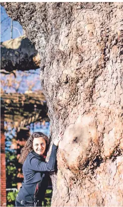  ?? FOTO: ANNE ?? Forstwisse­nschaftler­in Ana Erika Dittrich aus Düsseldorf im Nordpark.