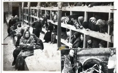  ??  ?? Kvindelige fanger i Auschwitz fotografer­et lige efter, at lejren blev befriet af Den Røde Haer i slutningen af januar 1945. De syge og handicappe­de var blevet ladt tilbage, efter at tusindvis af andre fanger var sendt vestpå. Sovjetiske fanger blev...