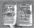  ?? PAUL A. SMITH ?? A selection of small jigs and flies were used to catch bluegills and other panfish.