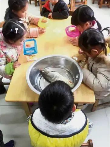  ??  ?? Odd one out:The picture that shows how miscommuni­cation can happen in schools when a boy brought in a huge river fish instead of a pet fish as requested by the teacher.