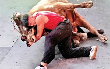  ??  ?? Zhong Xiaojie, 19, wrestles a bull to the ground during a bullfight in Jiaxing, Zhejiang province, China. — Reuters photos