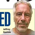  ??  ?? Jeffrey Epstein