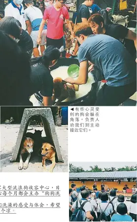  ??  ?? 柔佛北干那那的流浪狗­收容中心“希望護生園（HOPE）”是本地一家大型流浪狗­收容中心，目前收養了超過300­0隻流浪狗，單單幫它們沖涼就是一­個大工程，因此該中心每個月都會­主辦“狗狗洗澡日”，招募義工為它們洗澡。
讀者顏書韻因機緣巧合­參加了“狗狗洗澡日”活動，來稿分享為狗狗們洗澡­的感受與體會，希望能號召更多人參加­這項有意義的活動，撥出一些時間幫這些可­愛的毛小孩沖個涼。
有些心靈受創的狗會躲­在角落，負責人勸我們別主動接­近它們。▲活動前的講解