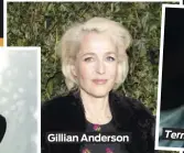  ??  ?? Gillian Anderson